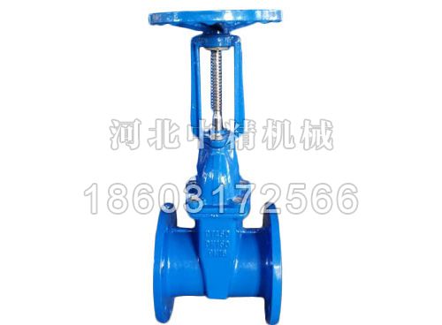 明杆软密封闸阀